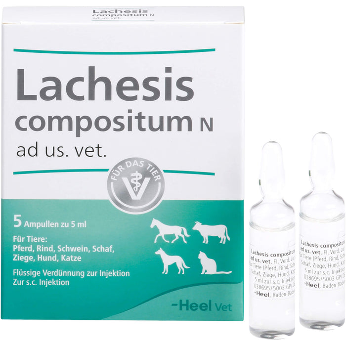 Heel Lachesis compositum N ad us.vet flüssige Verdünnung für Pferd, Rind, Schwein, Schaf, Ziege, Hund und Katze, 5 pc Ampoules