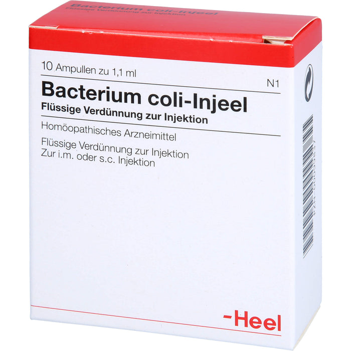 Bacterium coli-Injeel flüssige Verdünnung zur Injektion, 10 pc Ampoules