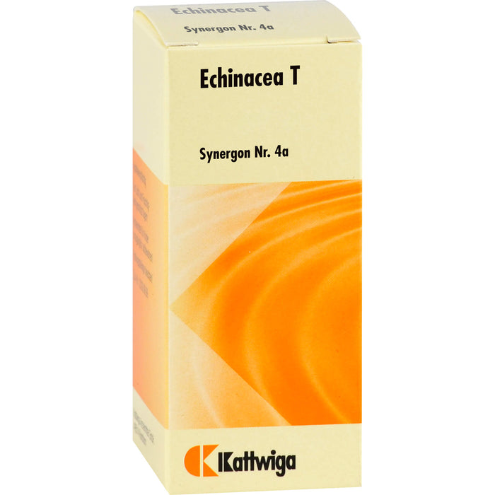 Synergon Komplex 4a Echinacea T Tbl., 100 St TAB