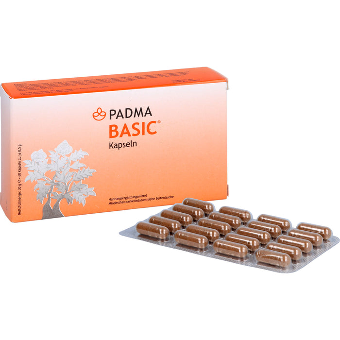 Padma Basic, 60 St KAP