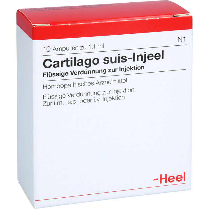 Cartilago suis-Injeel Ampullen, 10 pcs. Ampoules