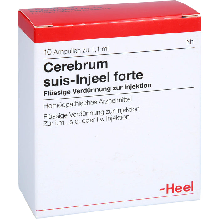 Cerebrum suis-Injeel forte Inj.-Lsg., 10 St AMP