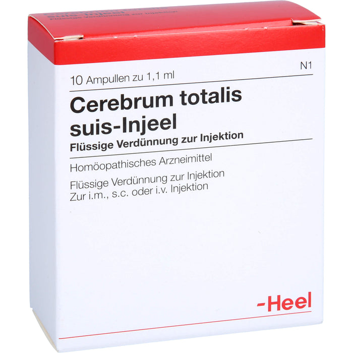 Cerebrum Totalis Suis Injeel flüssige Verdünnung, 10 pcs. Ampoules