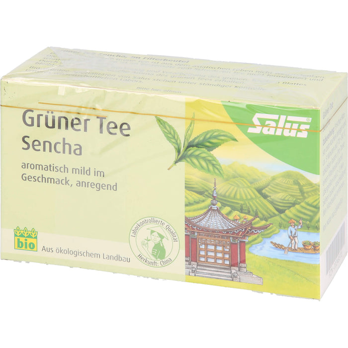 Salus Grüner Tee Sencha, 15 pcs. Filter bag