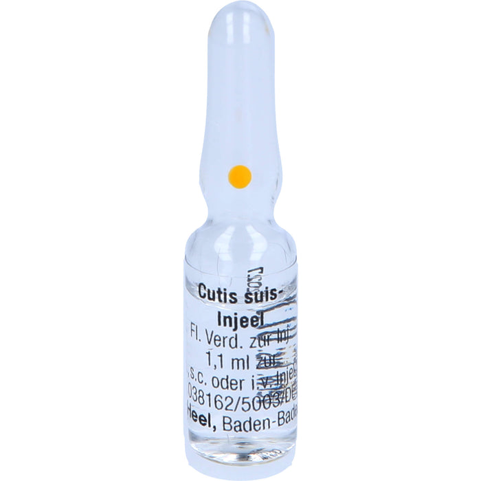 Cutis suis-Injeel Inj.-Lsg., 10 pcs. Ampoules