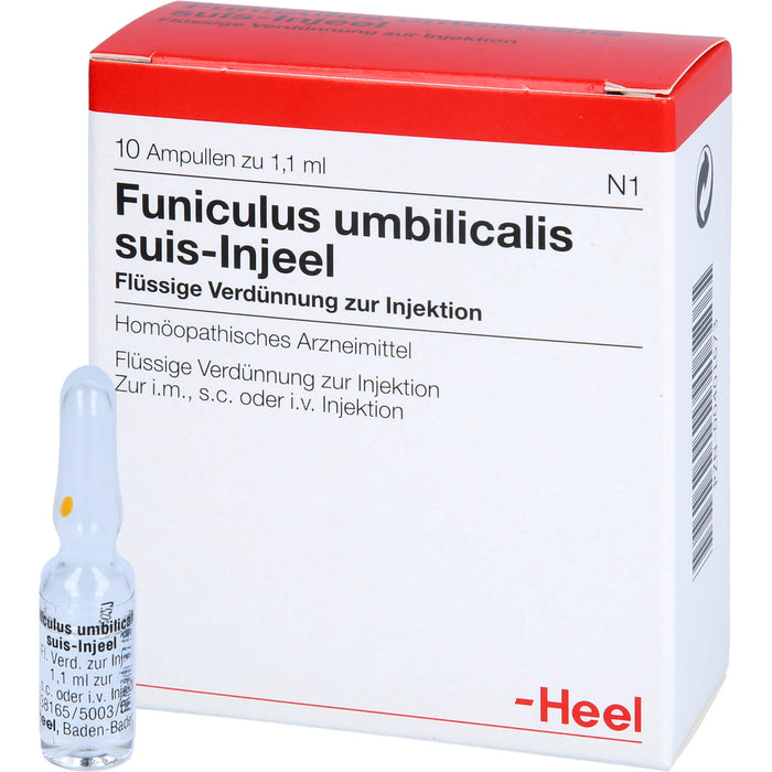 Heel Funiculus umbilicalis suis-Injeel flüssige Verdünnung zur Injektion, 10 pc Ampoules