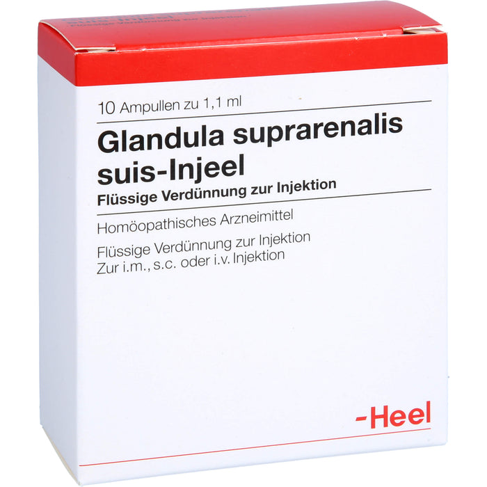 Glandula suprarenalis suis-Injeel Ampullen, 10 pc Ampoules