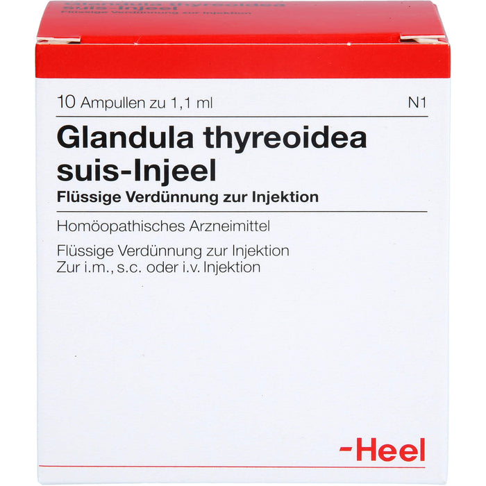 Glandula thyreoidea suis-Injeel flüssige Verdünnung, 10 pcs. Ampoules