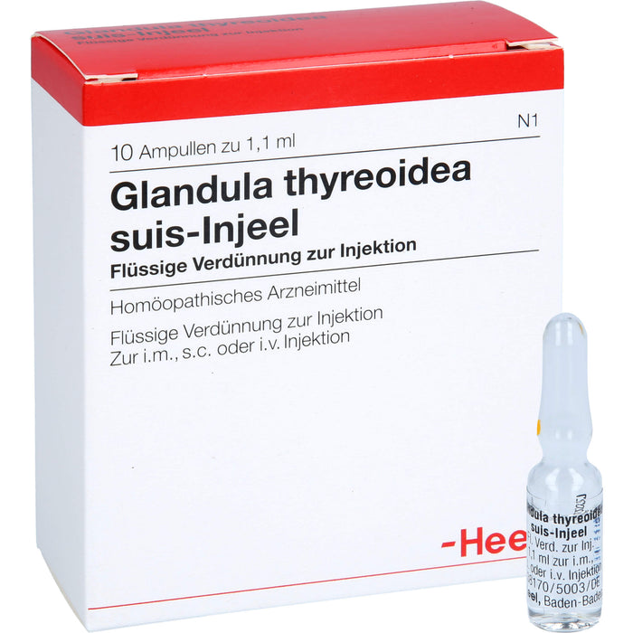 Glandula thyreoidea suis-Injeel flüssige Verdünnung, 10 pcs. Ampoules