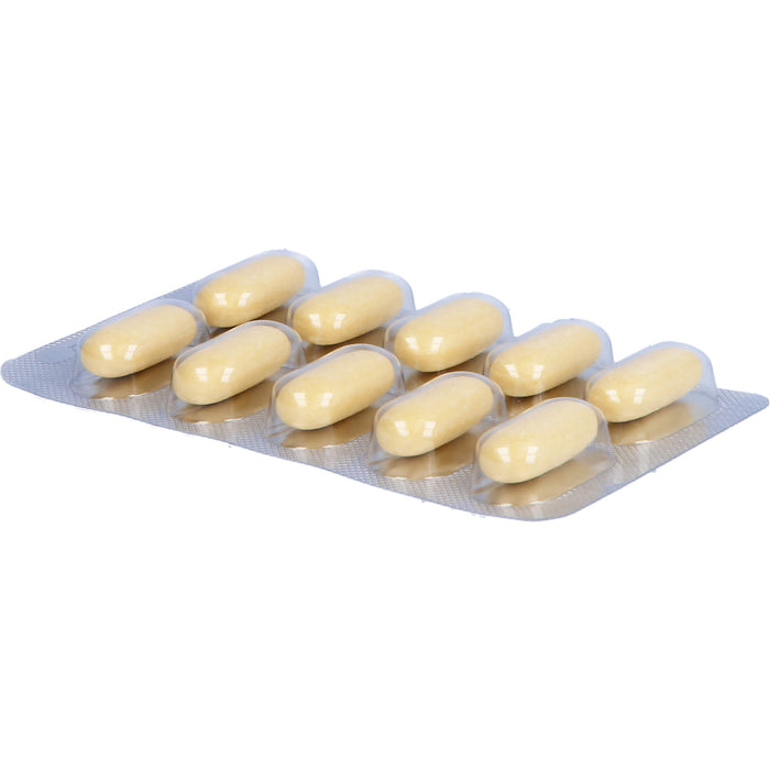 Natu-hepa 600 mg Tabletten bei Verdauungsbeschwerden, 100 pc Tablettes