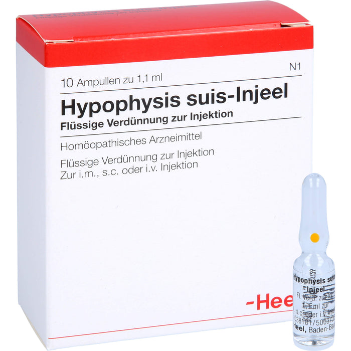 Hypophysis suis-Injeel flüssige Verdünnung, 10 pc Ampoules