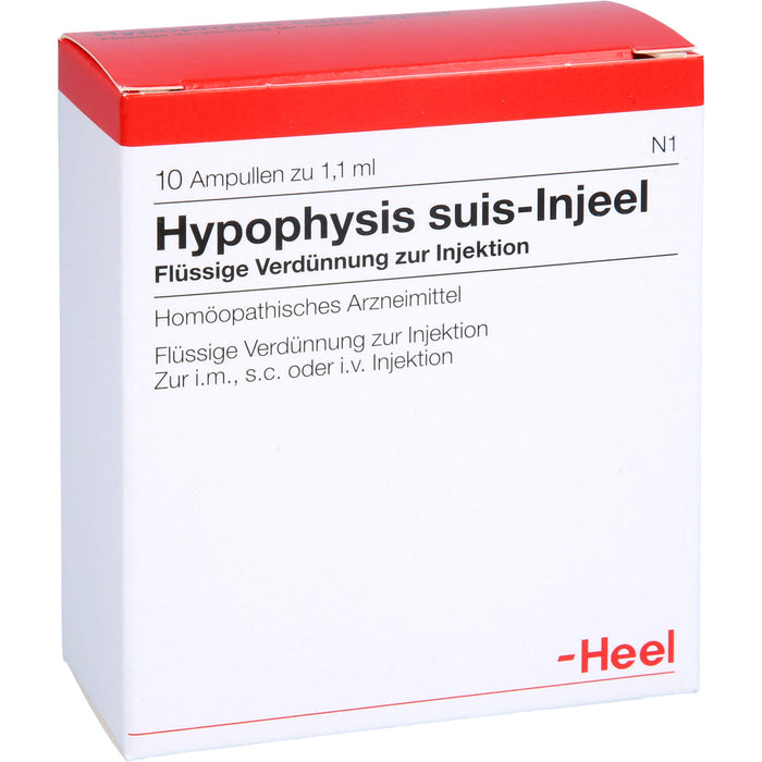 Hypophysis suis-Injeel flüssige Verdünnung, 10 pcs. Ampoules