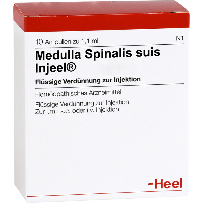 Medulla spinalis suis Injeel flüssige Verdünnung, 10 pc Ampoules