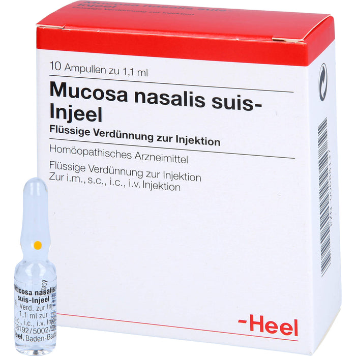 Mucosa nasalis suis-Injeel Inj.-Lsg., 10 St AMP