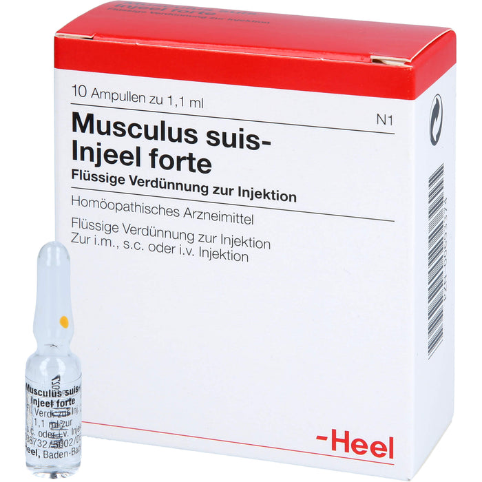 Musculus suis-Injeel forte flüssige Verdünnung, 10 pcs. Ampoules