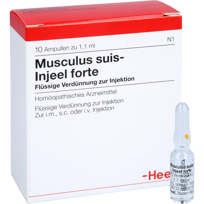 Musculus suis-Injeel forte flüssige Verdünnung, 10 pcs. Ampoules