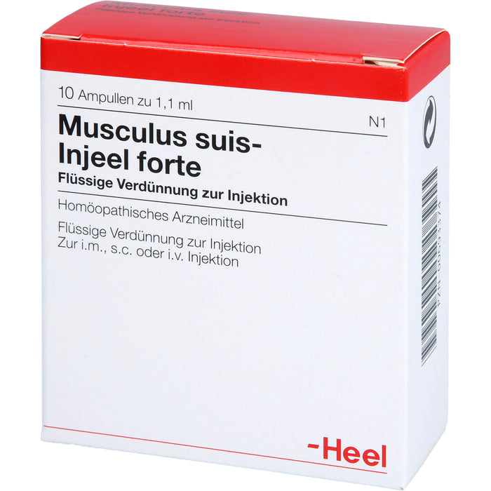 Musculus suis-Injeel forte flüssige Verdünnung, 10 pcs. Ampoules