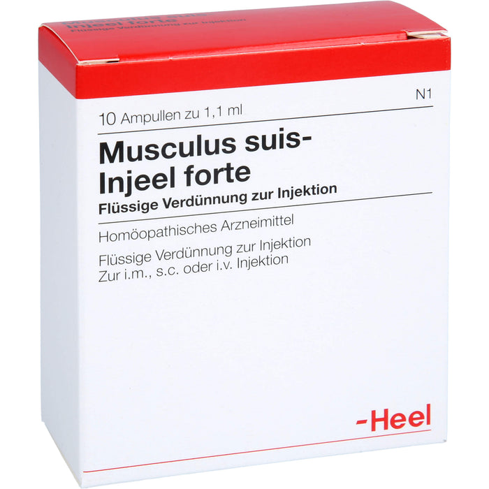 Musculus suis-Injeel forte flüssige Verdünnung, 10 pcs. Ampoules