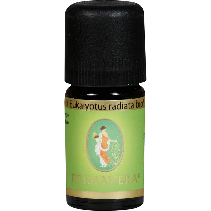 EUKALYPTUS RADIATA kbA, 5 ml ätherisches Öl