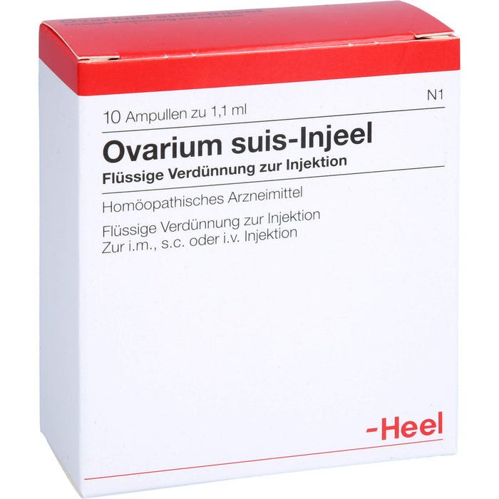 Ovarium suis-Injeel flüssige Verdünnung, 10 pcs. Ampoules