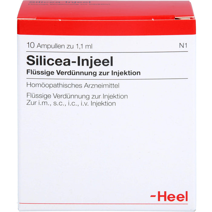 Heel Silicea-Injeel flüssige Verdünnung zur Injektion, 10 St. Ampullen