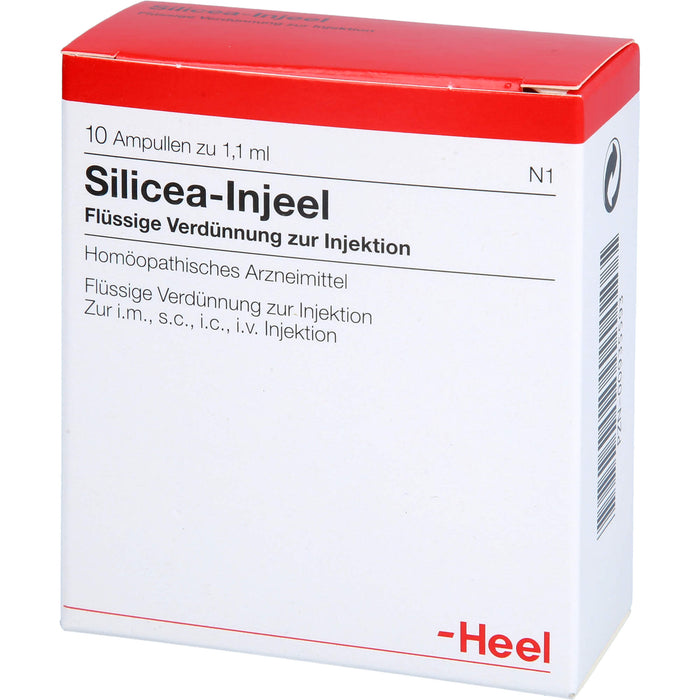 Heel Silicea-Injeel flüssige Verdünnung zur Injektion, 10 pc Ampoules