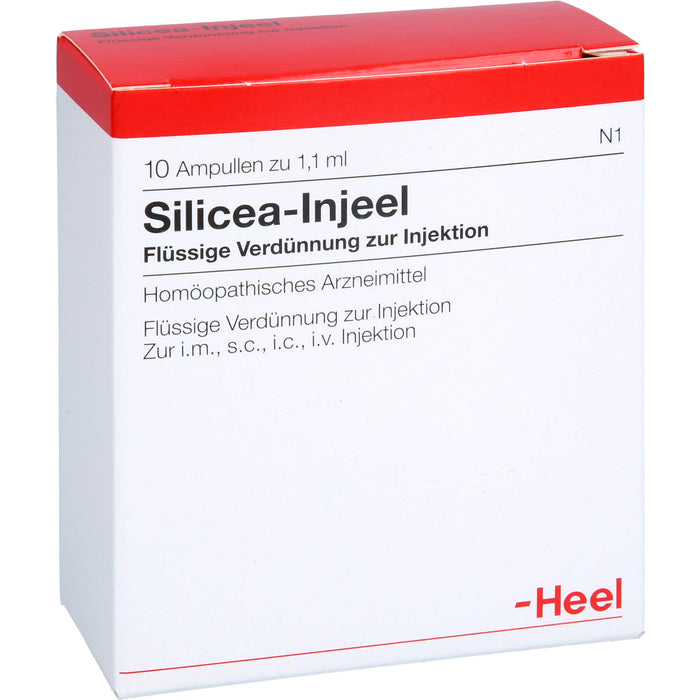 Heel Silicea-Injeel flüssige Verdünnung zur Injektion, 10 pc Ampoules