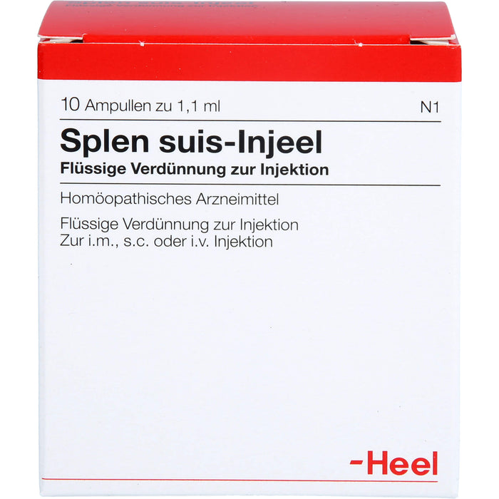 Heel Splen suis-Injeel flüssige Verdünnung, 10 pc Ampoules