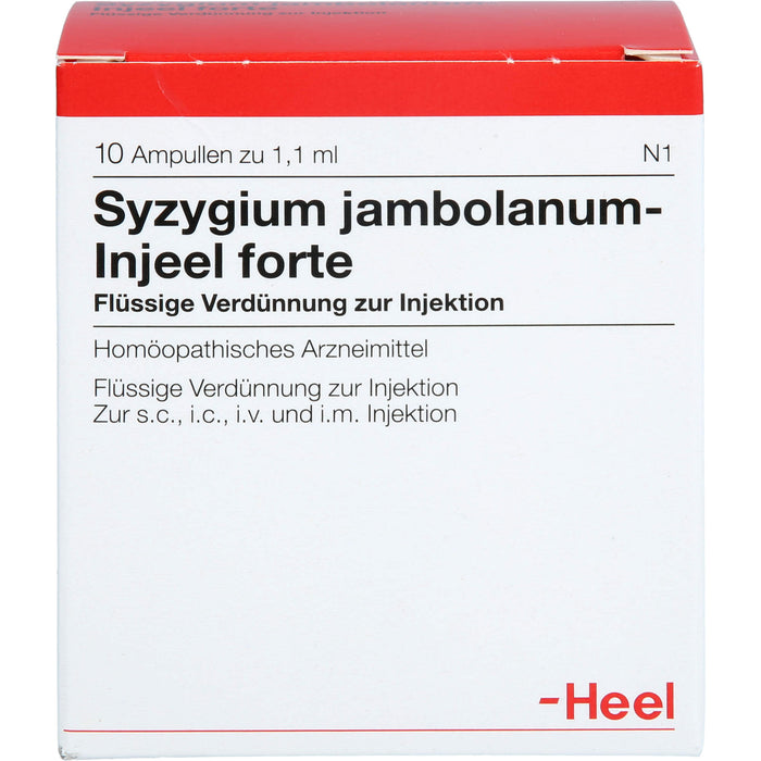 Syzygium jambolanum Injeel forte Amp., 10 St AMP