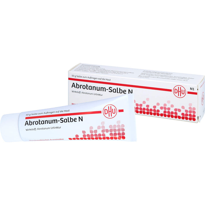 DHU Abrotanum-Salbe N, 50 g Ointment