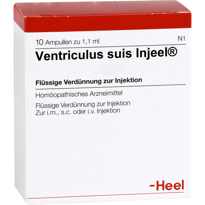 Ventriculus suis-Injeel flüssige Verdünnung, 10 St. Ampullen