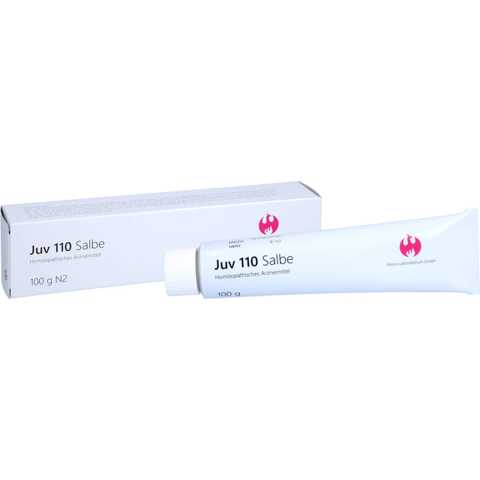 Juv 110 Salbe, 100 g Ointment