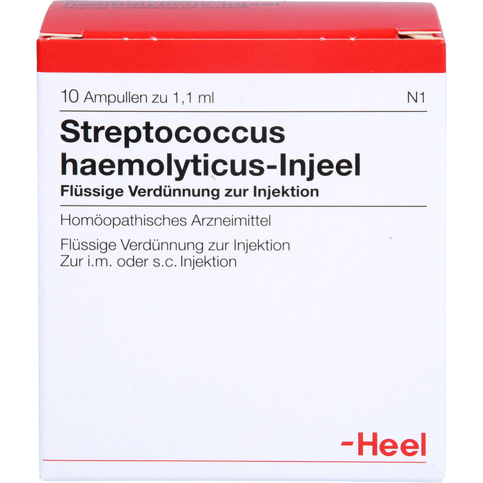 Streptococcus haemolyticus-Injeel flüssige Verdünnung, 10 pcs. Ampoules