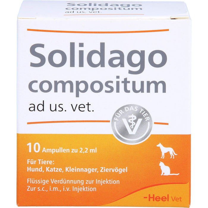 Solidago compositum ad us. vet. Ampullen für Tiere, 10 pcs. Ampoules