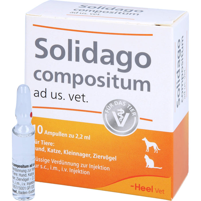 Solidago compositum ad us. vet. Ampullen für Tiere, 10 pcs. Ampoules