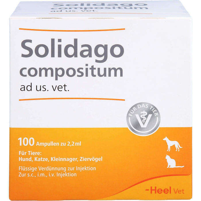 Heel Solidago compositum ad us. vet. flüssige Verdünnung zur Injektion, 100 pc Ampoules