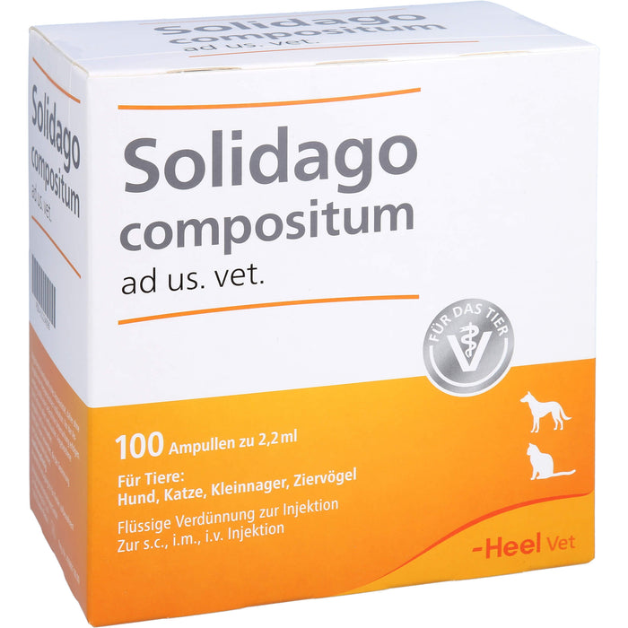 Heel Solidago compositum ad us. vet. flüssige Verdünnung zur Injektion, 100 pc Ampoules