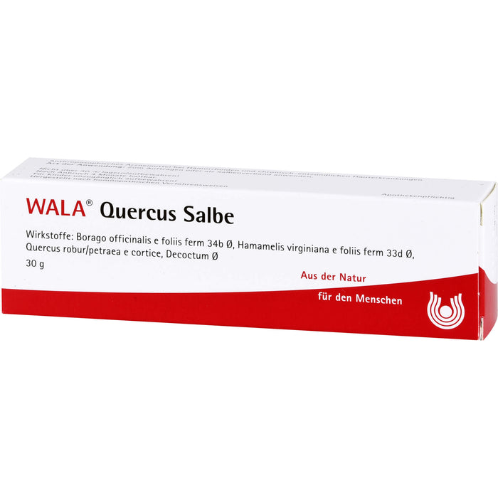 WALA Quercus Salbe bei Hämorrhoiden, 30 g Salbe