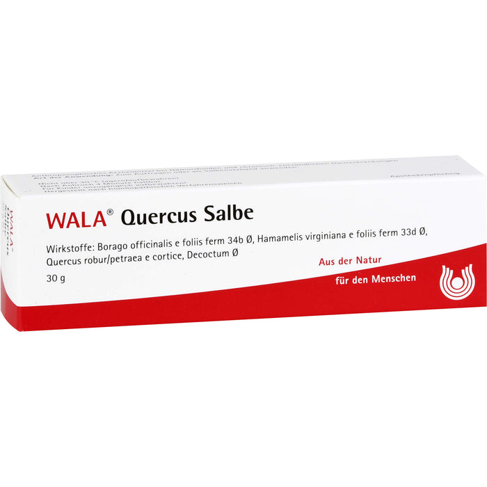 WALA Quercus Salbe bei Hämorrhoiden, 30 g Ointment