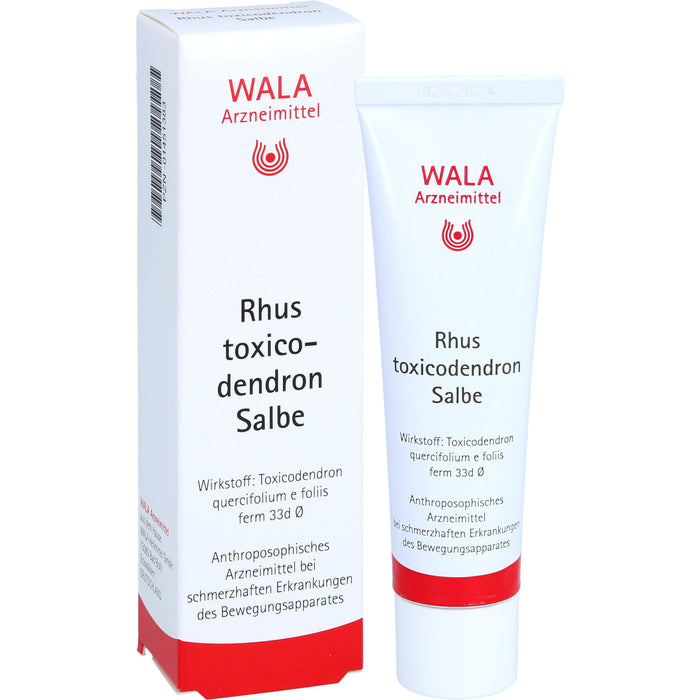 WALA Rhus toxicodendron Salbe, 30 g Salbe