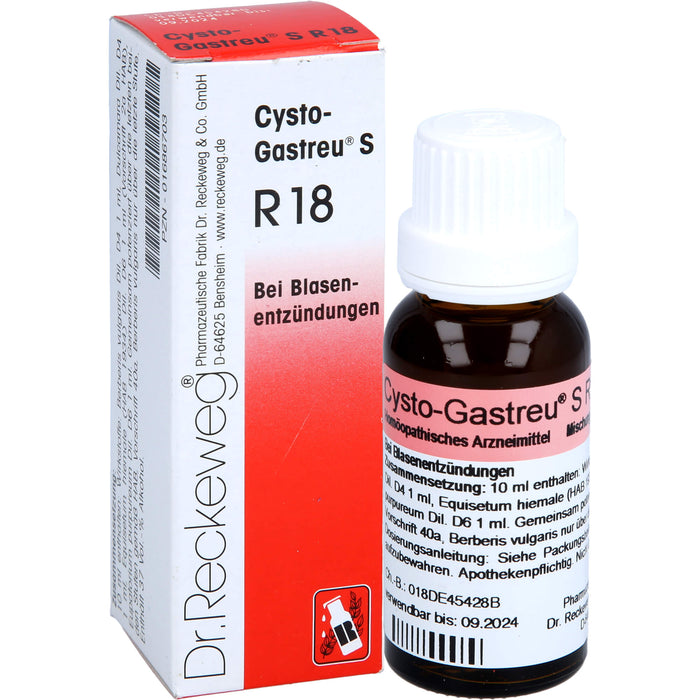 Dr.Reckeweg Cysto-Gastreu S R18 Tropfen bei Blasenentzündungen, 22 ml Lösung