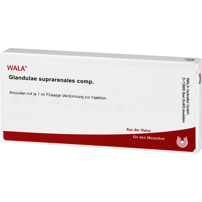 WALA Glandulae Supraren. comp. Ampullen, 10 pcs. Ampoules