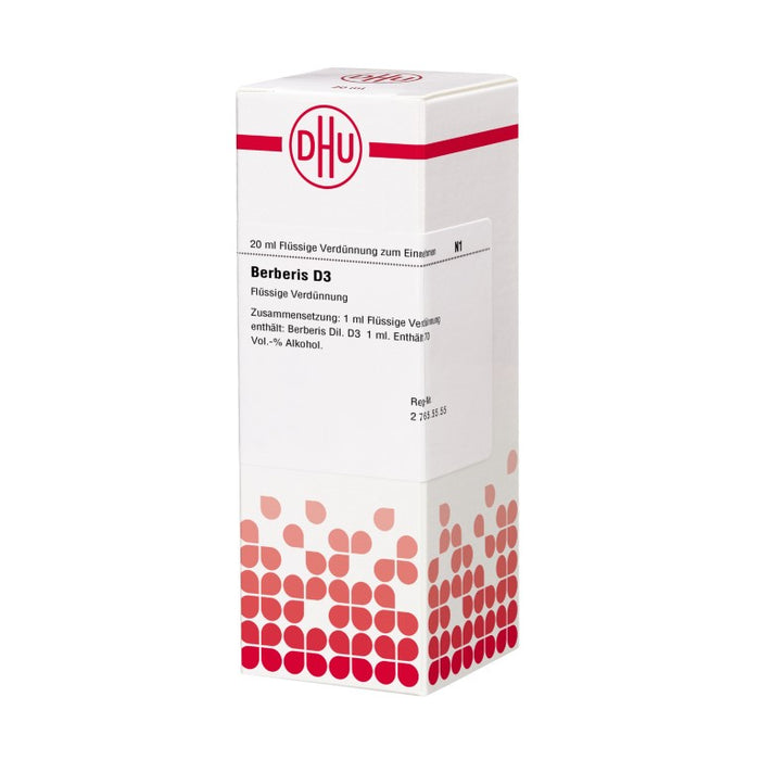 Berberis D3 DHU Dilution, 20 ml Lösung