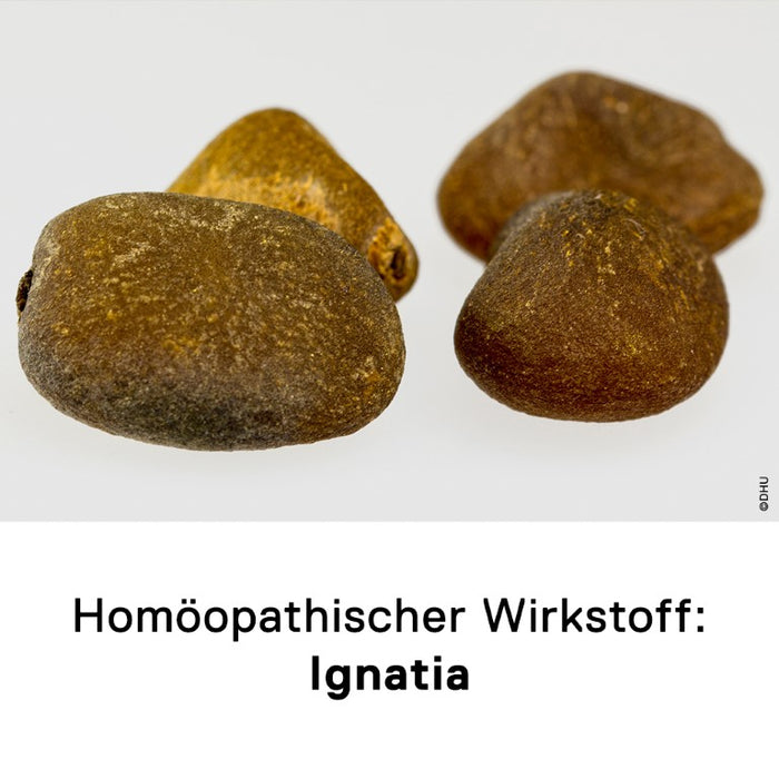 DHU Ignatia D6 Streukügelchen, 10 g Globuli