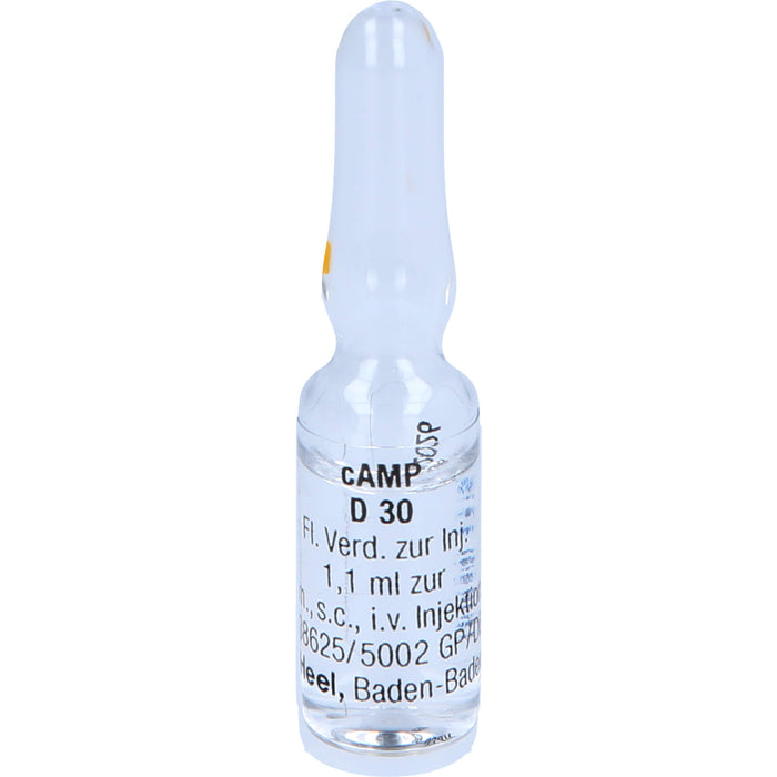 cAMP D30, 10 St AMP