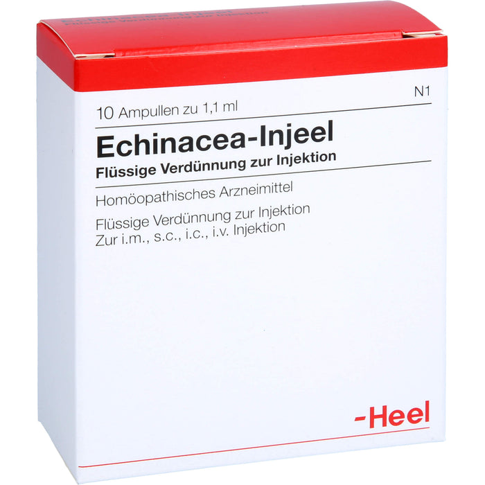 Echinacea-Injeel flüssige Verdünnung, 10 St. Ampullen