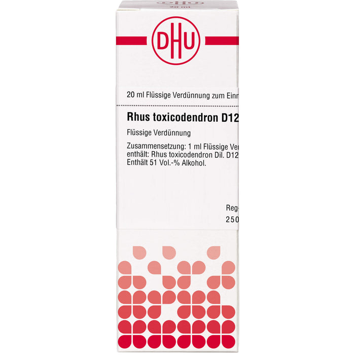 DHU Rhus toxicodendron D12 Dilution, 20 ml Lösung