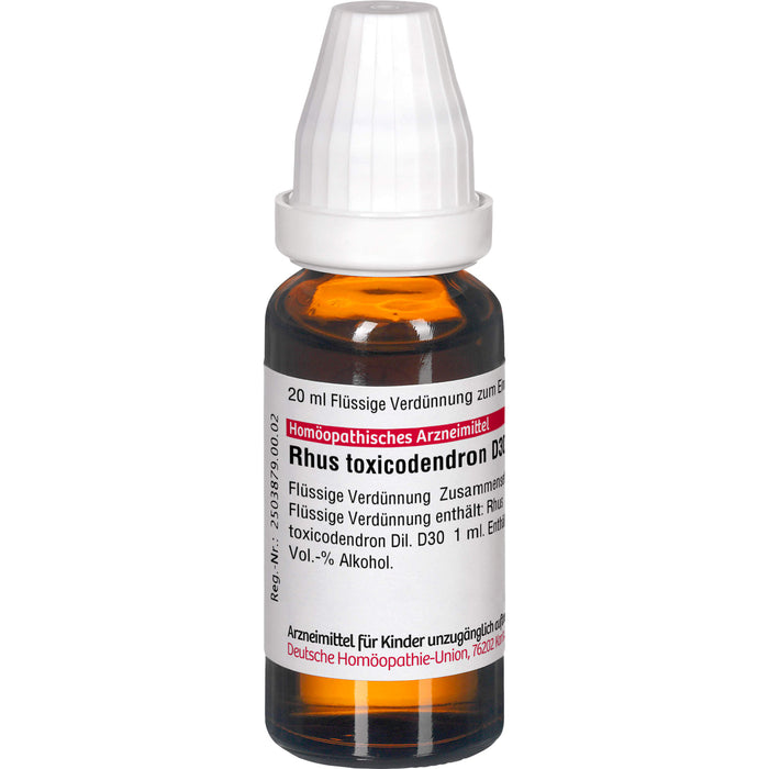 DHU Rhus toxicodendron D30 Dilution, 20 ml Lösung