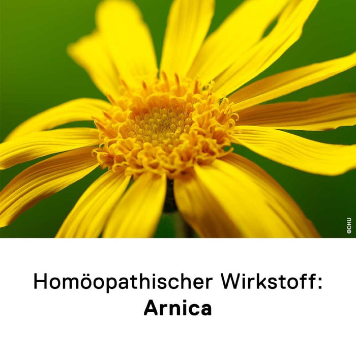 DHU Arnica D12 Streukügelchen, 10 g Globuli