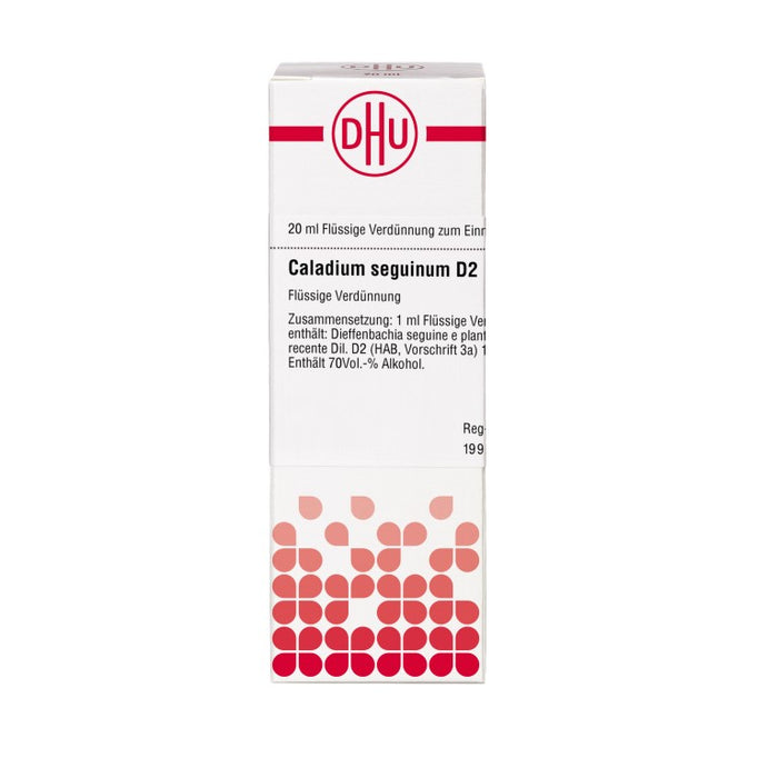 DHU Caladium seguinum D2 Dilution, 20 ml Lösung